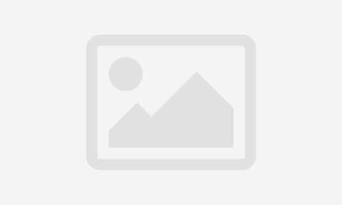 Introduction to the human muscular system